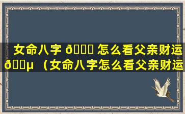 女命八字 🐟 怎么看父亲财运 🌵 （女命八字怎么看父亲财运好不好）
